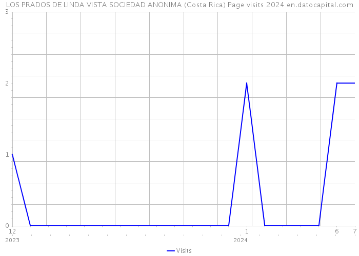 LOS PRADOS DE LINDA VISTA SOCIEDAD ANONIMA (Costa Rica) Page visits 2024 