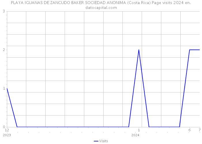 PLAYA IGUANAS DE ZANCUDO BAKER SOCIEDAD ANONIMA (Costa Rica) Page visits 2024 