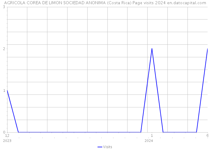 AGRICOLA COREA DE LIMON SOCIEDAD ANONIMA (Costa Rica) Page visits 2024 