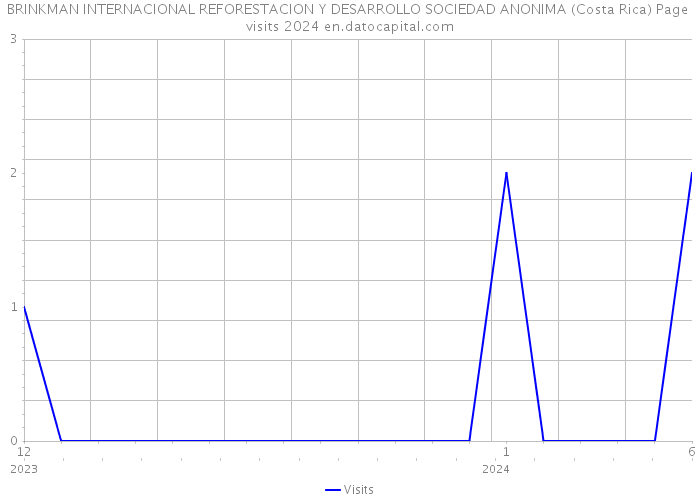 BRINKMAN INTERNACIONAL REFORESTACION Y DESARROLLO SOCIEDAD ANONIMA (Costa Rica) Page visits 2024 