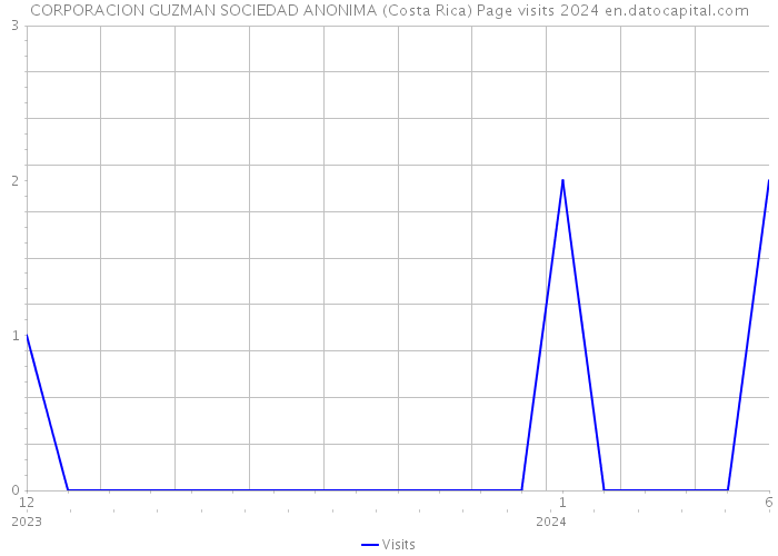 CORPORACION GUZMAN SOCIEDAD ANONIMA (Costa Rica) Page visits 2024 