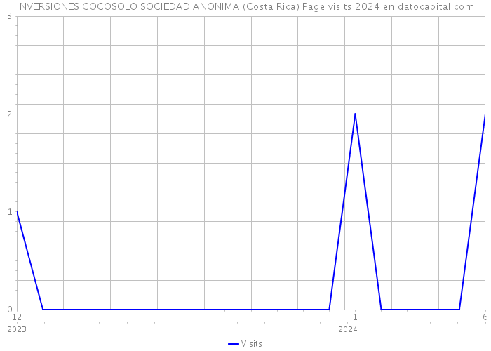 INVERSIONES COCOSOLO SOCIEDAD ANONIMA (Costa Rica) Page visits 2024 