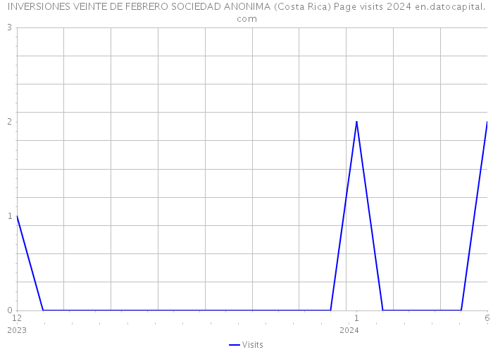 INVERSIONES VEINTE DE FEBRERO SOCIEDAD ANONIMA (Costa Rica) Page visits 2024 