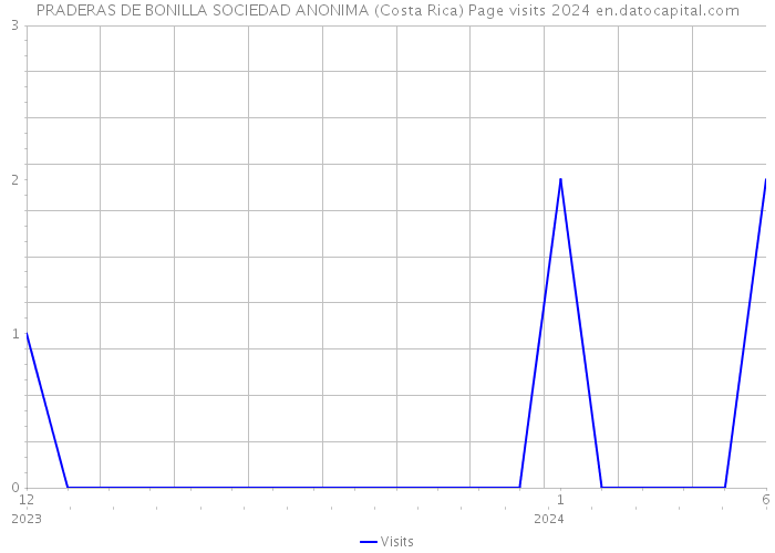 PRADERAS DE BONILLA SOCIEDAD ANONIMA (Costa Rica) Page visits 2024 