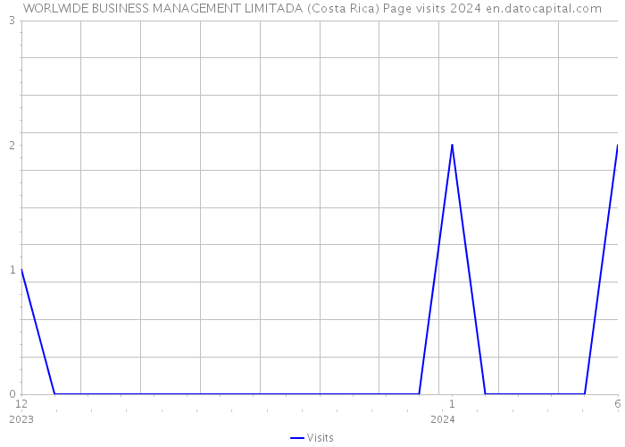 WORLWIDE BUSINESS MANAGEMENT LIMITADA (Costa Rica) Page visits 2024 