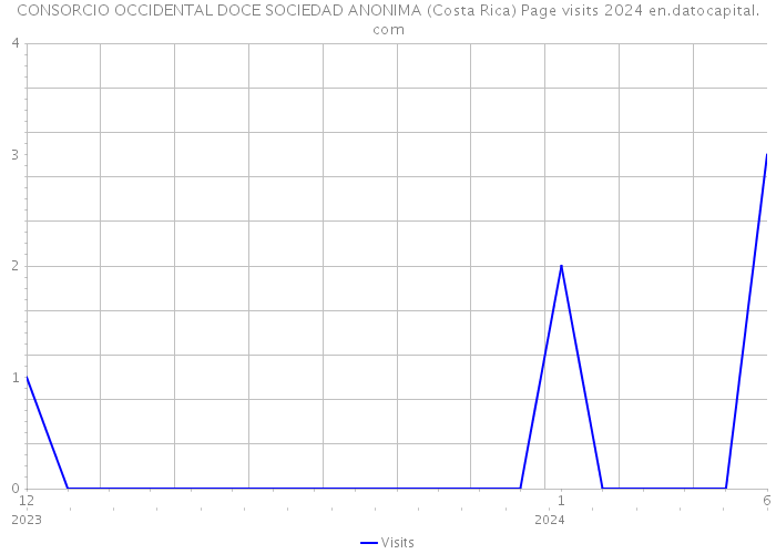 CONSORCIO OCCIDENTAL DOCE SOCIEDAD ANONIMA (Costa Rica) Page visits 2024 