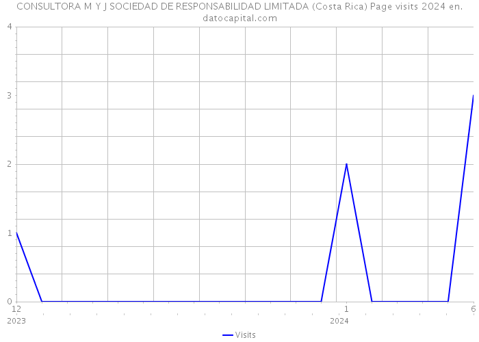 CONSULTORA M Y J SOCIEDAD DE RESPONSABILIDAD LIMITADA (Costa Rica) Page visits 2024 