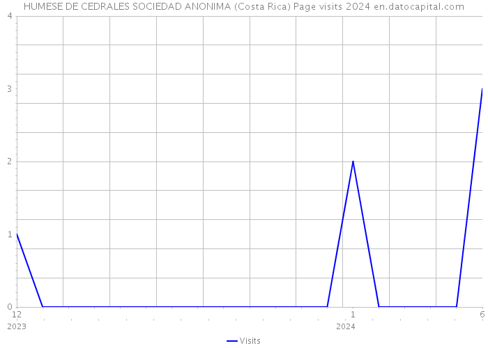 HUMESE DE CEDRALES SOCIEDAD ANONIMA (Costa Rica) Page visits 2024 