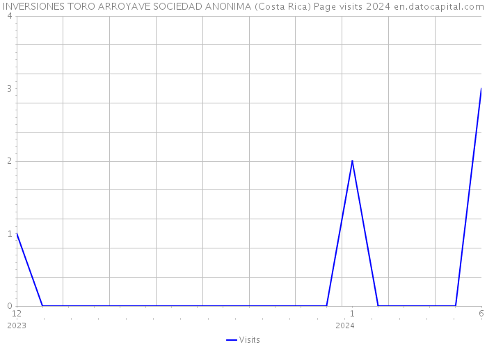 INVERSIONES TORO ARROYAVE SOCIEDAD ANONIMA (Costa Rica) Page visits 2024 