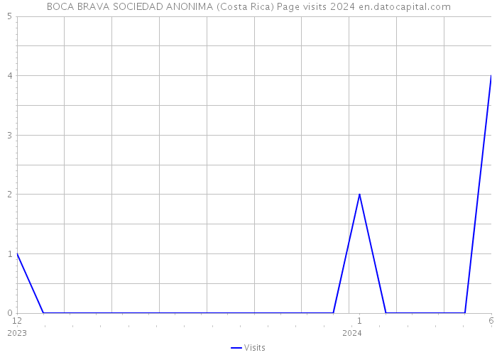 BOCA BRAVA SOCIEDAD ANONIMA (Costa Rica) Page visits 2024 