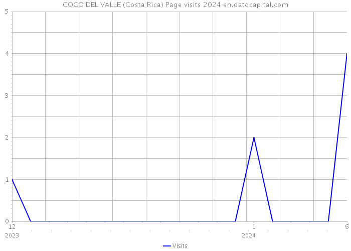 COCO DEL VALLE (Costa Rica) Page visits 2024 