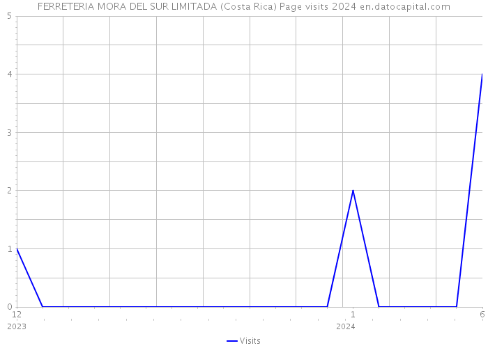 FERRETERIA MORA DEL SUR LIMITADA (Costa Rica) Page visits 2024 