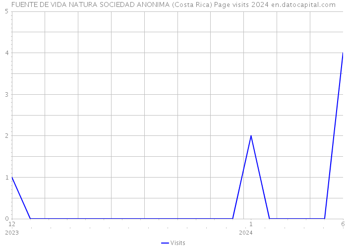 FUENTE DE VIDA NATURA SOCIEDAD ANONIMA (Costa Rica) Page visits 2024 