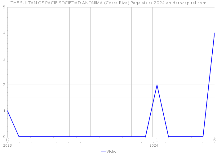 THE SULTAN OF PACIF SOCIEDAD ANONIMA (Costa Rica) Page visits 2024 