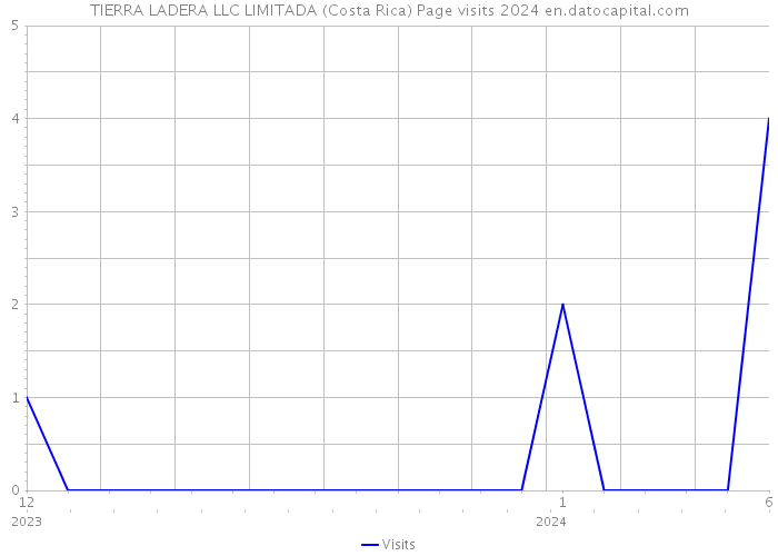TIERRA LADERA LLC LIMITADA (Costa Rica) Page visits 2024 