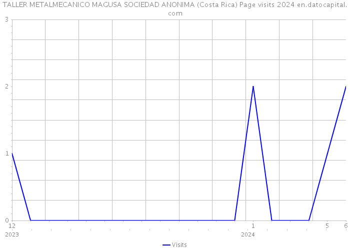 TALLER METALMECANICO MAGUSA SOCIEDAD ANONIMA (Costa Rica) Page visits 2024 