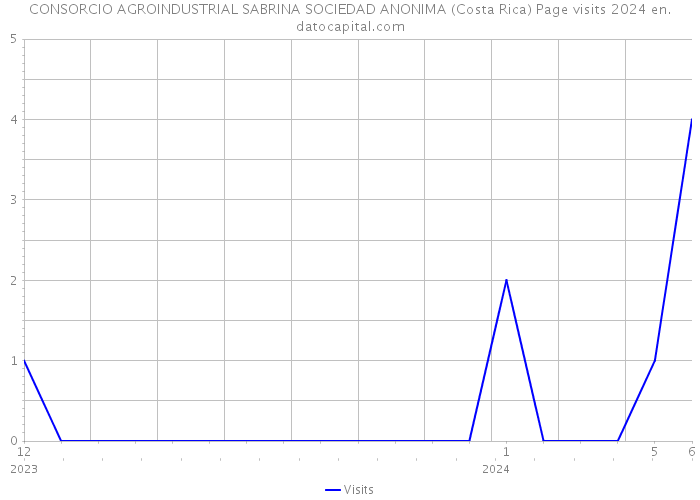 CONSORCIO AGROINDUSTRIAL SABRINA SOCIEDAD ANONIMA (Costa Rica) Page visits 2024 