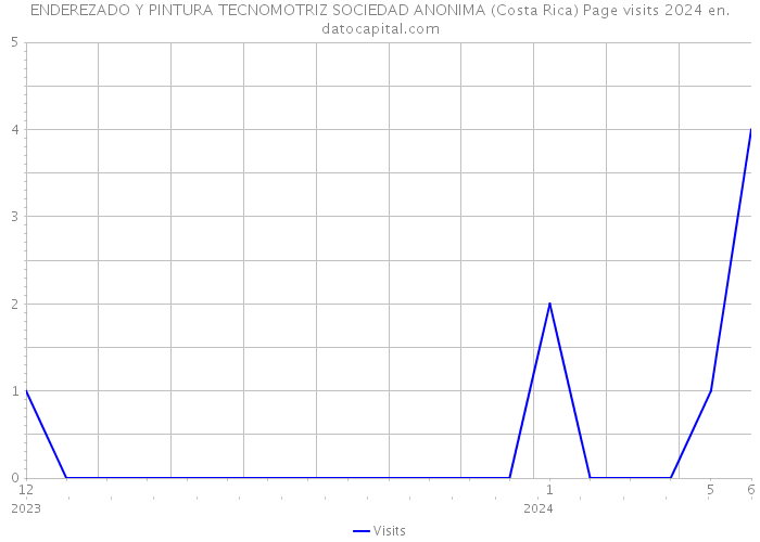 ENDEREZADO Y PINTURA TECNOMOTRIZ SOCIEDAD ANONIMA (Costa Rica) Page visits 2024 
