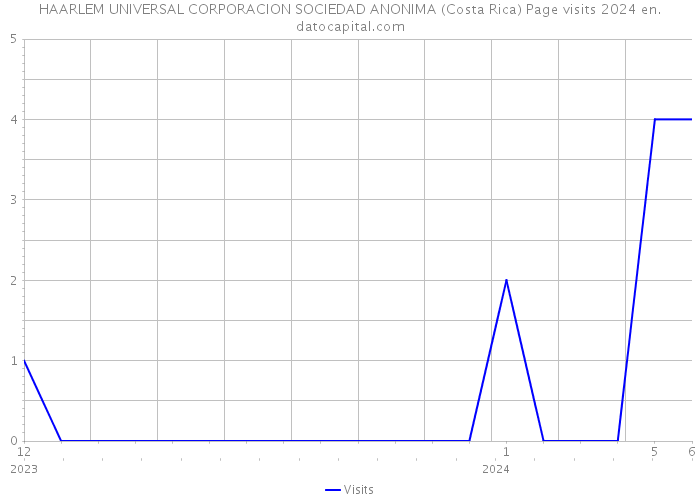 HAARLEM UNIVERSAL CORPORACION SOCIEDAD ANONIMA (Costa Rica) Page visits 2024 