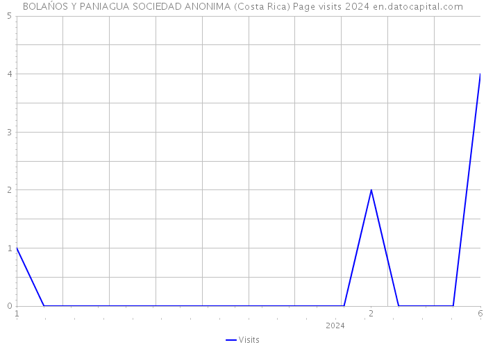BOLAŃOS Y PANIAGUA SOCIEDAD ANONIMA (Costa Rica) Page visits 2024 