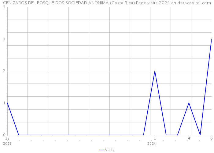 CENIZAROS DEL BOSQUE DOS SOCIEDAD ANONIMA (Costa Rica) Page visits 2024 