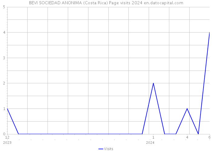 BEVI SOCIEDAD ANONIMA (Costa Rica) Page visits 2024 