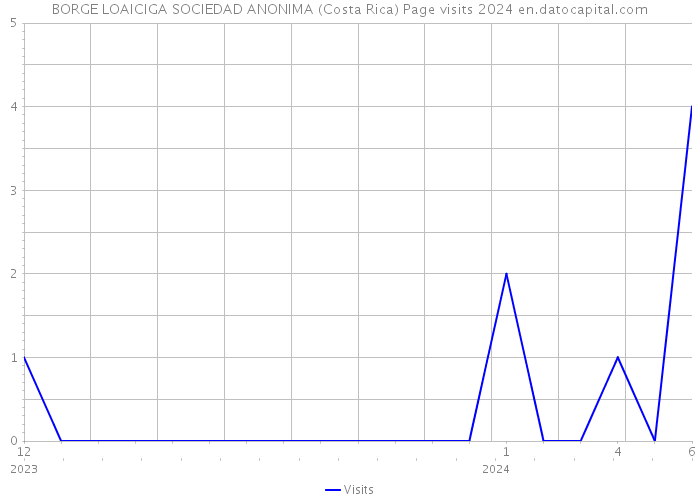 BORGE LOAICIGA SOCIEDAD ANONIMA (Costa Rica) Page visits 2024 