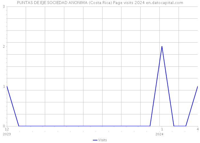 PUNTAS DE EJE SOCIEDAD ANONIMA (Costa Rica) Page visits 2024 
