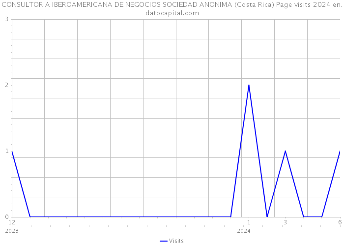 CONSULTORIA IBEROAMERICANA DE NEGOCIOS SOCIEDAD ANONIMA (Costa Rica) Page visits 2024 