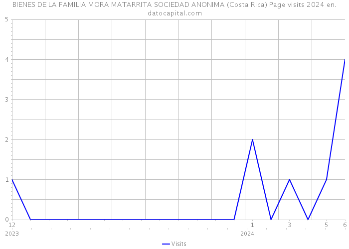 BIENES DE LA FAMILIA MORA MATARRITA SOCIEDAD ANONIMA (Costa Rica) Page visits 2024 