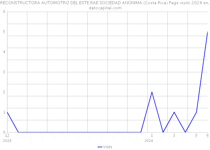 RECONSTRUCTORA AUTOMOTRIZ DEL ESTE RAE SOCIEDAD ANONIMA (Costa Rica) Page visits 2024 