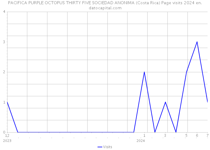 PACIFICA PURPLE OCTOPUS THIRTY FIVE SOCIEDAD ANONIMA (Costa Rica) Page visits 2024 