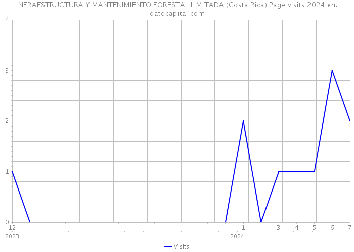 INFRAESTRUCTURA Y MANTENIMIENTO FORESTAL LIMITADA (Costa Rica) Page visits 2024 