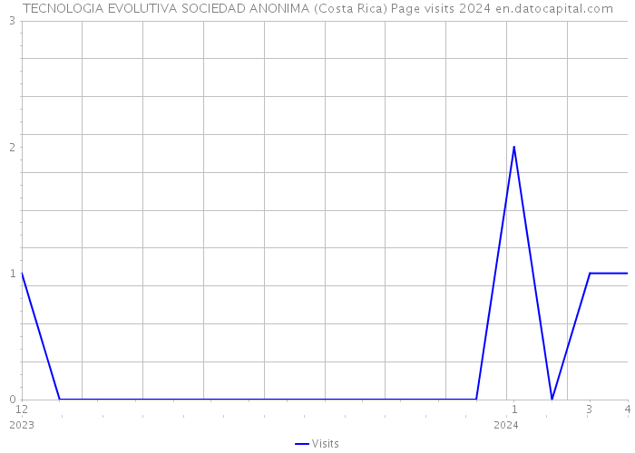 TECNOLOGIA EVOLUTIVA SOCIEDAD ANONIMA (Costa Rica) Page visits 2024 