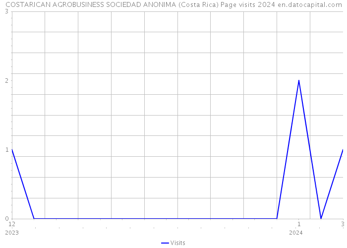 COSTARICAN AGROBUSINESS SOCIEDAD ANONIMA (Costa Rica) Page visits 2024 