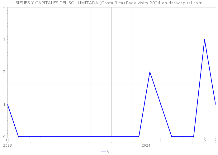 BIENES Y CAPITALES DEL SOL LIMITADA (Costa Rica) Page visits 2024 
