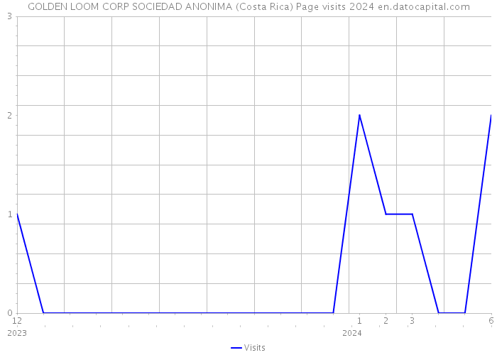 GOLDEN LOOM CORP SOCIEDAD ANONIMA (Costa Rica) Page visits 2024 