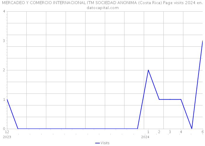 MERCADEO Y COMERCIO INTERNACIONAL ITM SOCIEDAD ANONIMA (Costa Rica) Page visits 2024 