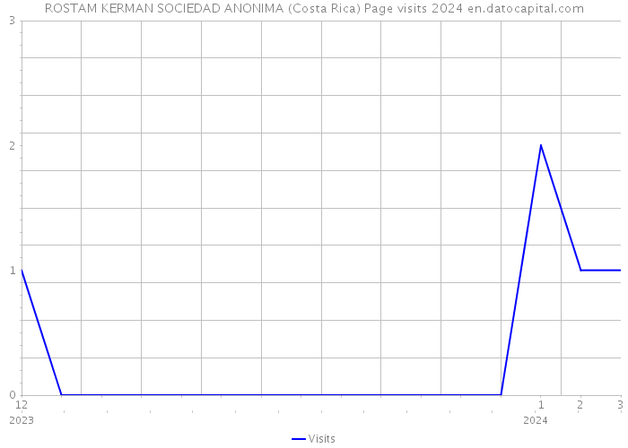 ROSTAM KERMAN SOCIEDAD ANONIMA (Costa Rica) Page visits 2024 