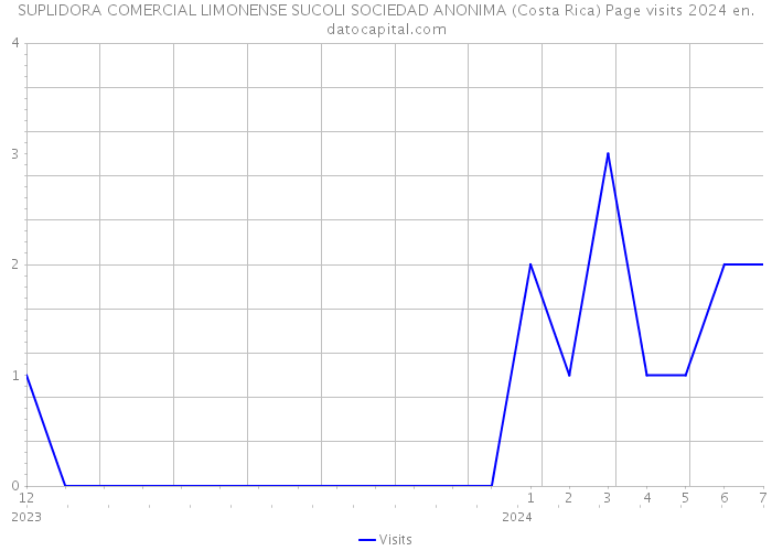 SUPLIDORA COMERCIAL LIMONENSE SUCOLI SOCIEDAD ANONIMA (Costa Rica) Page visits 2024 