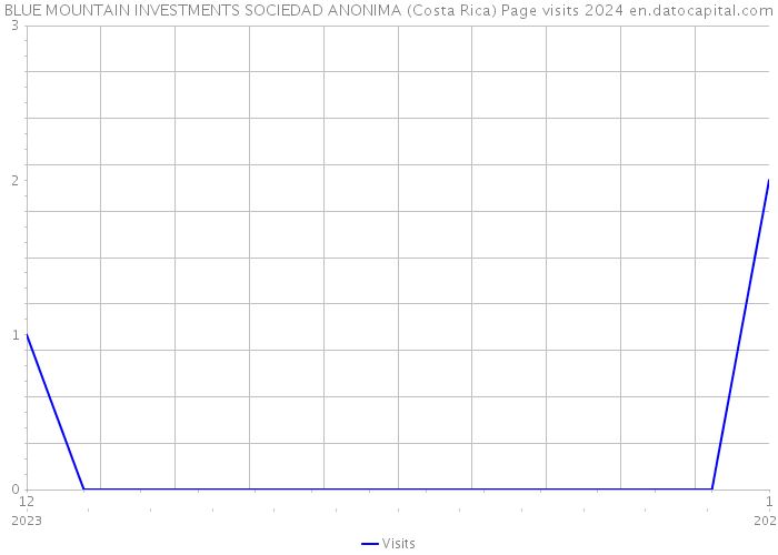 BLUE MOUNTAIN INVESTMENTS SOCIEDAD ANONIMA (Costa Rica) Page visits 2024 
