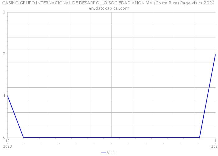 CASINO GRUPO INTERNACIONAL DE DESARROLLO SOCIEDAD ANONIMA (Costa Rica) Page visits 2024 