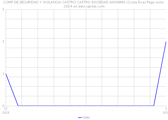 COMP DE SEGURIDAD Y VIGILANCIA CASTRO CASTRO SOCIEDAD ANONIMA (Costa Rica) Page visits 2024 