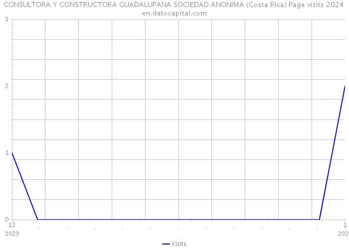 CONSULTORA Y CONSTRUCTORA GUADALUPANA SOCIEDAD ANONIMA (Costa Rica) Page visits 2024 
