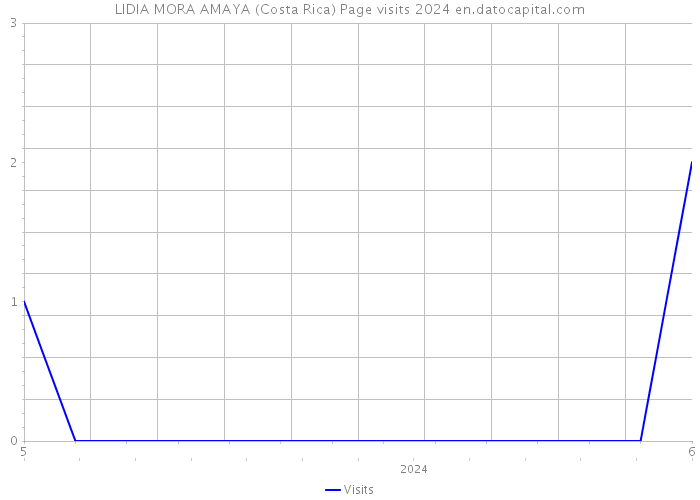 LIDIA MORA AMAYA (Costa Rica) Page visits 2024 