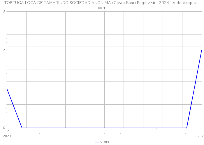 TORTUGA LOCA DE TAMARINDO SOCIEDAD ANONIMA (Costa Rica) Page visits 2024 