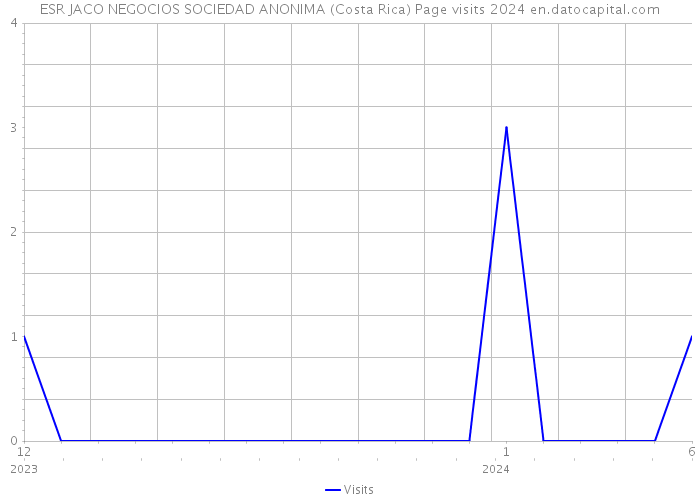 ESR JACO NEGOCIOS SOCIEDAD ANONIMA (Costa Rica) Page visits 2024 