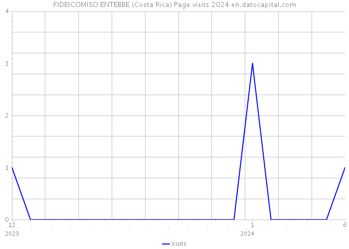 FIDEICOMISO ENTEBBE (Costa Rica) Page visits 2024 