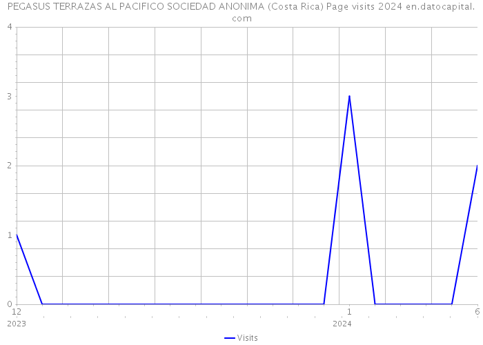 PEGASUS TERRAZAS AL PACIFICO SOCIEDAD ANONIMA (Costa Rica) Page visits 2024 
