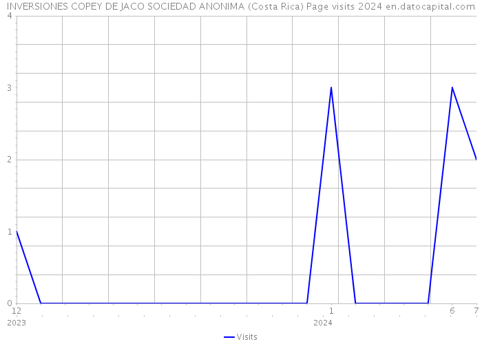 INVERSIONES COPEY DE JACO SOCIEDAD ANONIMA (Costa Rica) Page visits 2024 
